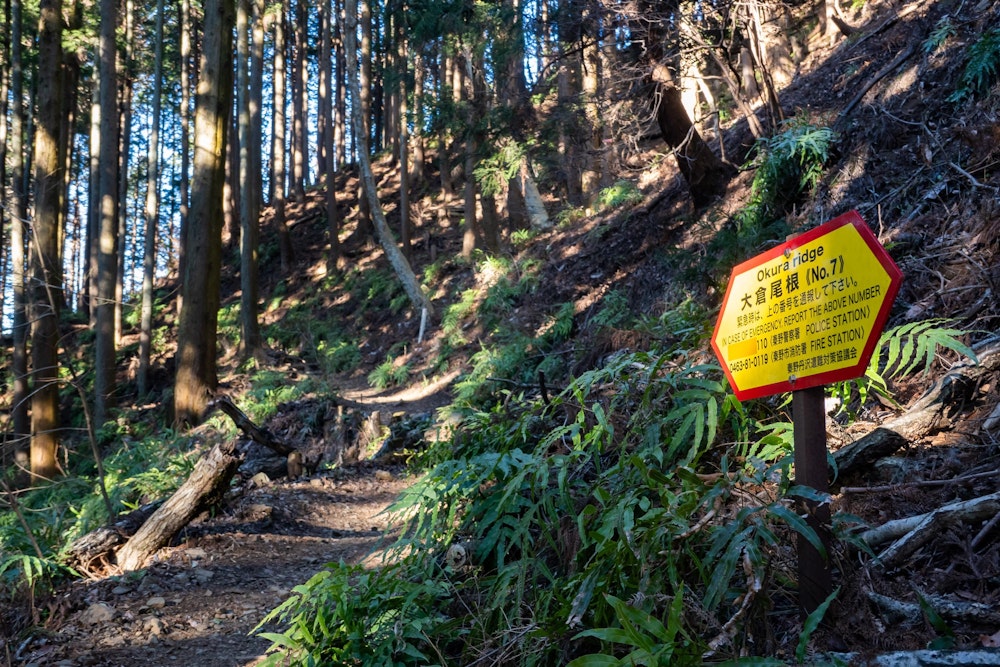 <p>大倉尾根から塔ノ岳を目指す。<br>長いと評判の大倉尾根だが、実際歩いてみるとよく整備されて気持ちのいい道だった。<br>今回は高尾まで歩く覚悟で臨んでいることもあり、大倉尾根単体で辟易していてはこの先もたない。</p>