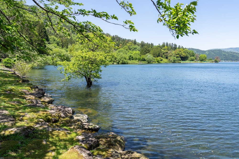 <p>余呉湖の湖畔に下りた。<br>余呉湖を一周取り巻くように舗装路が整備されており、ツーリングやドライブついでにチェアリングを楽しむ人たちが多くいた。</p>