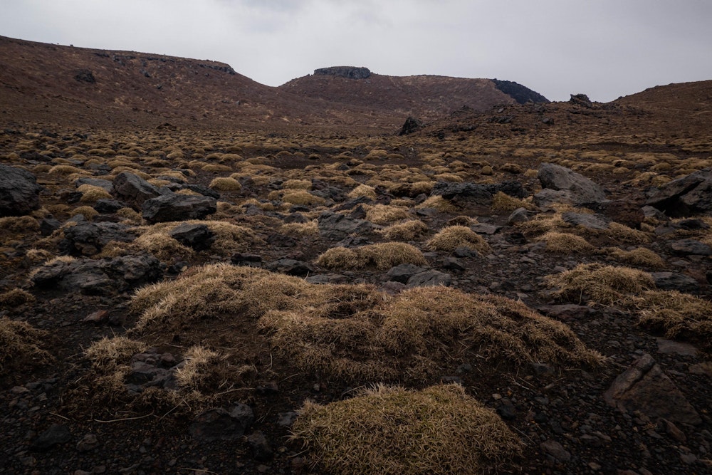 <p>高岳のカルデラ内に広がる広大な平地。</p>