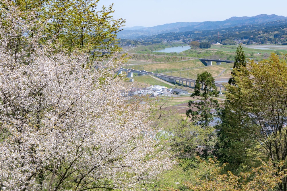 <p>中尊寺の境内からの風景。<br>桜と新緑が美しい。東海や九州では 4 月の頭くらいに見られる光景だ。<br>東北北部では 1 ヶ月遅れで春がやってくる。</p>