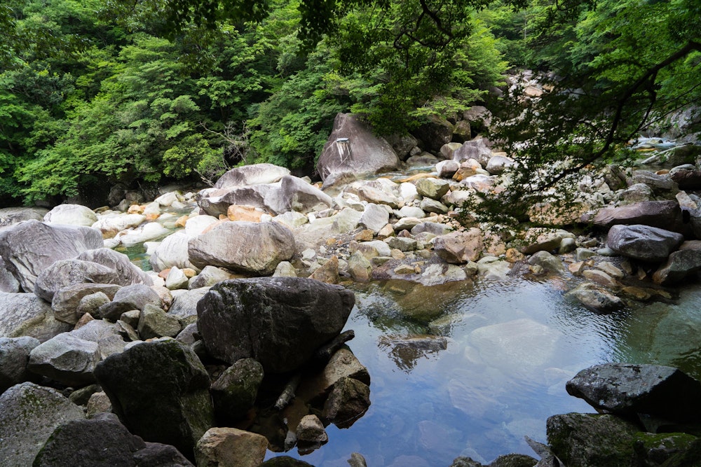 <p>大崩山登山の際、祝子川の渡渉がある。<br>水量によって通過難易度も変わると思われるが、この日は水量も多くなく容易だった。</p>