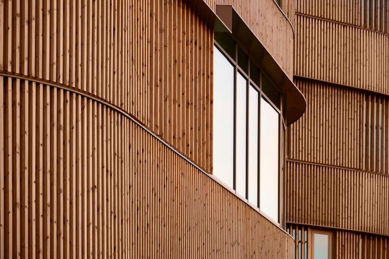A Comprehensive Guide to Timber in Architecture and Design