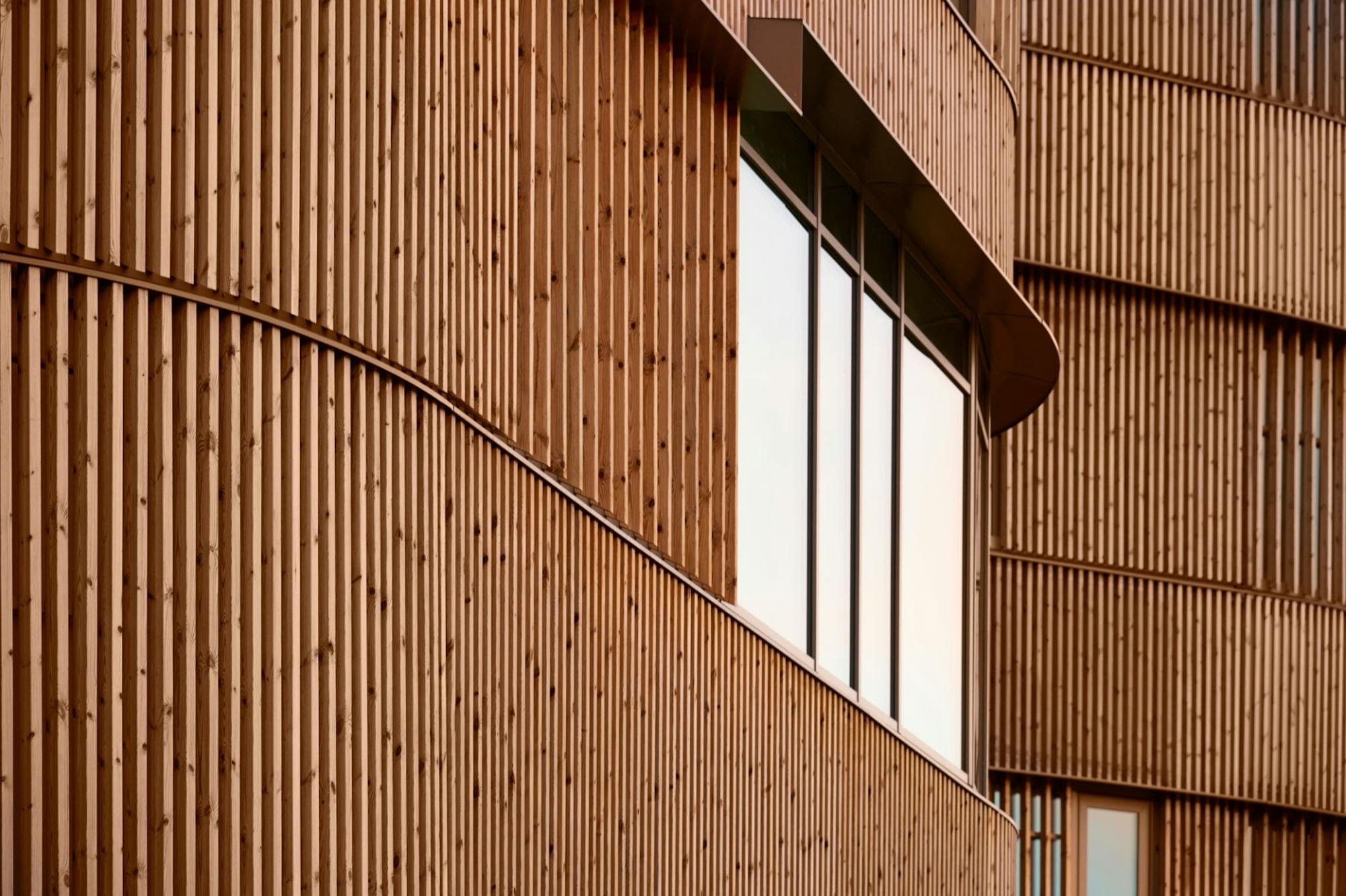 A Comprehensive Guide to Timber in Architecture and Design