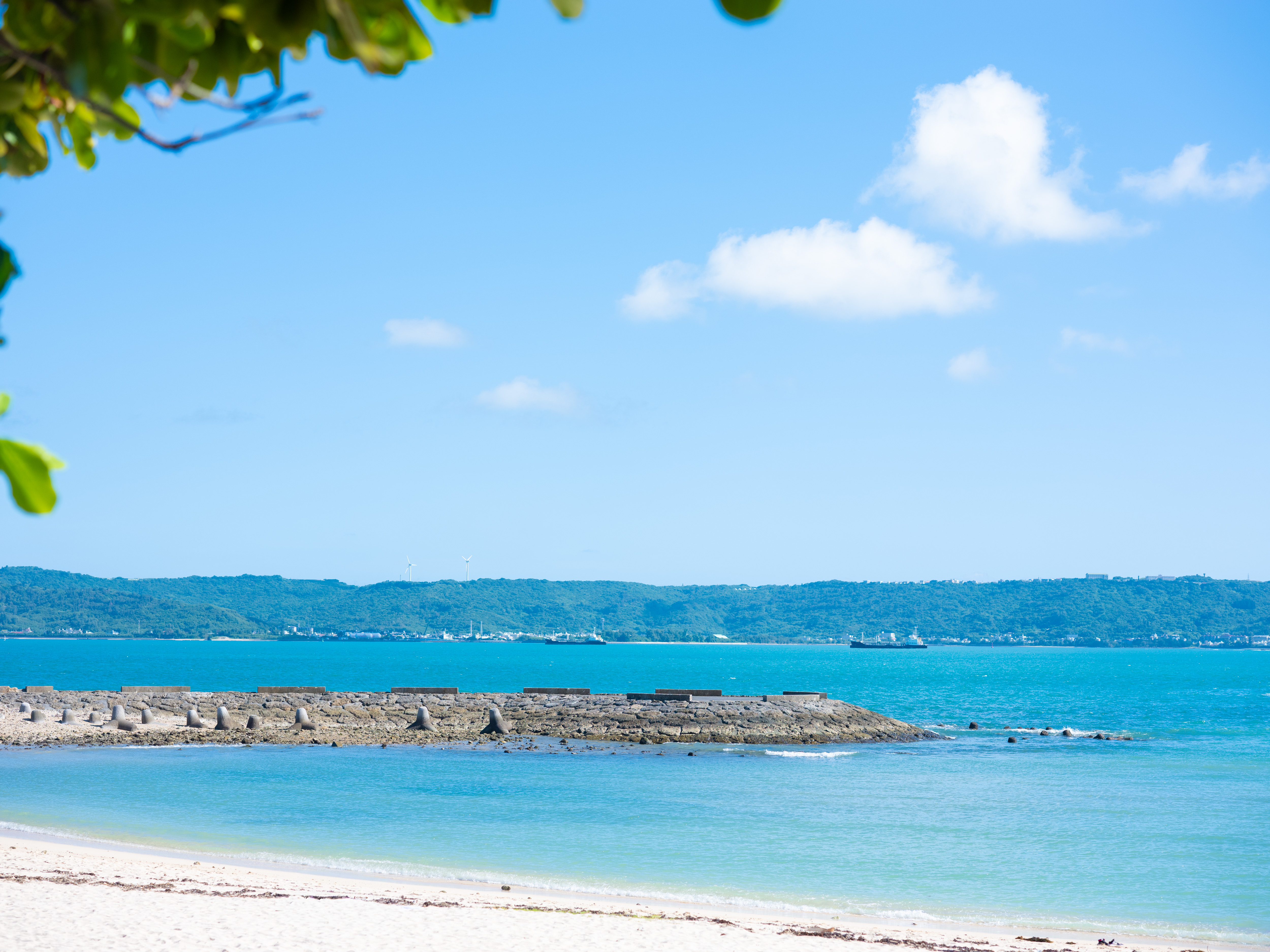 社内ビーチパーティーを開催しました｜株式会社バックムーン