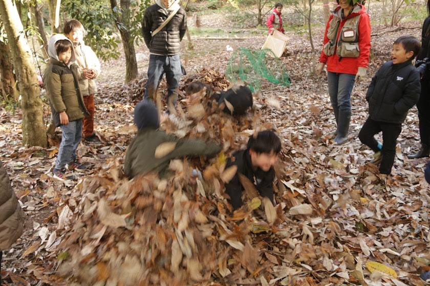 イベント報告：全力、落ち葉集め遊び | トヨタの森 公式ブログ