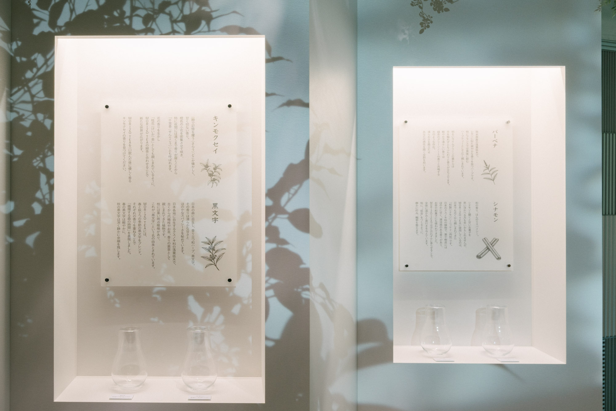 INFORMATION - INTERSECT BY LEXUS - TOKYO