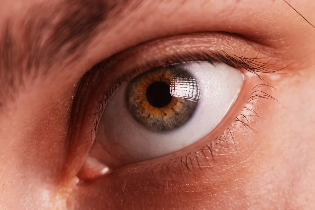 アイトラッキング技術で人の視線を計測する研究のイメージ