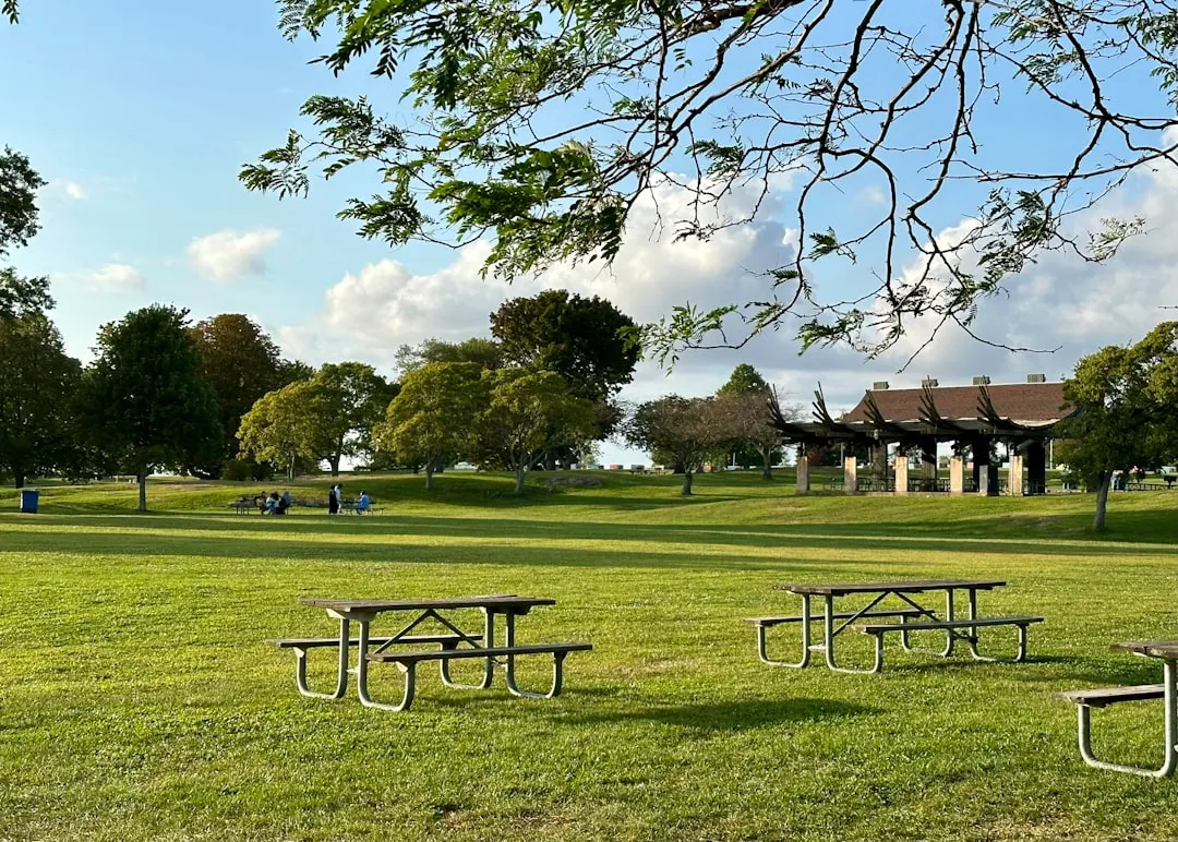 自然の中でくつろぐファミリー層、エコ意識と消費行動の関係を表すイメージ