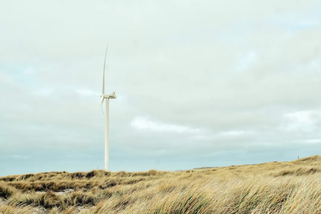 風力発電と再生可能エネルギー——サステナブルマーケティングが重視する環境・社会への配慮」 width=