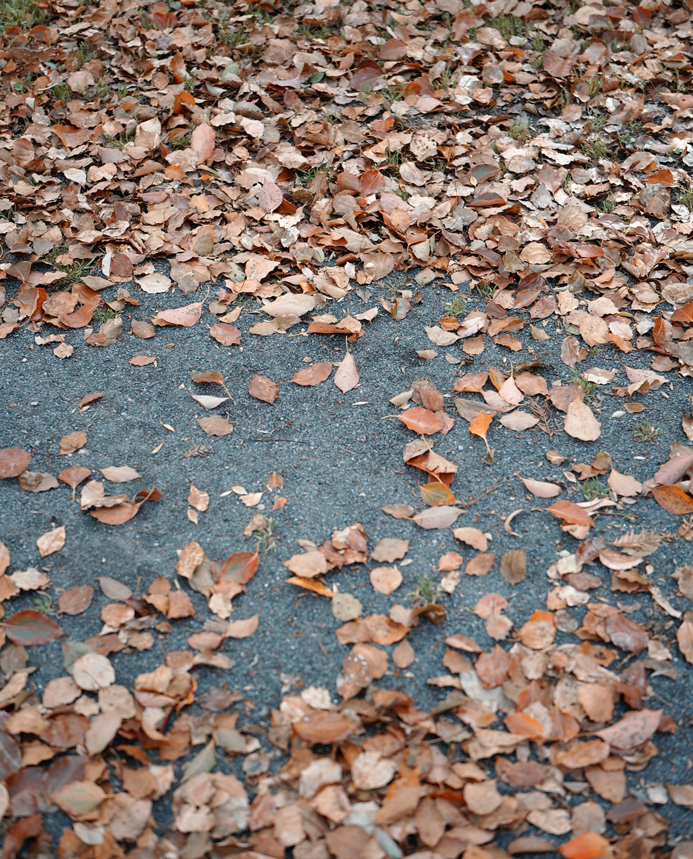 tile-photo thumbnail