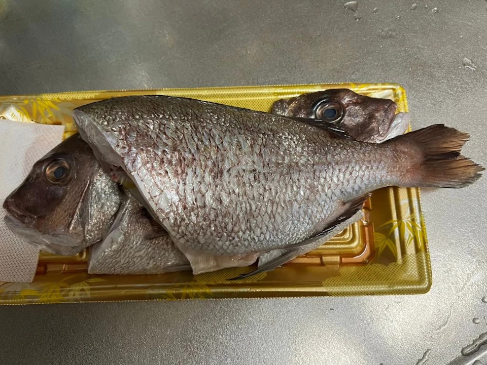 鯛の準備の画像