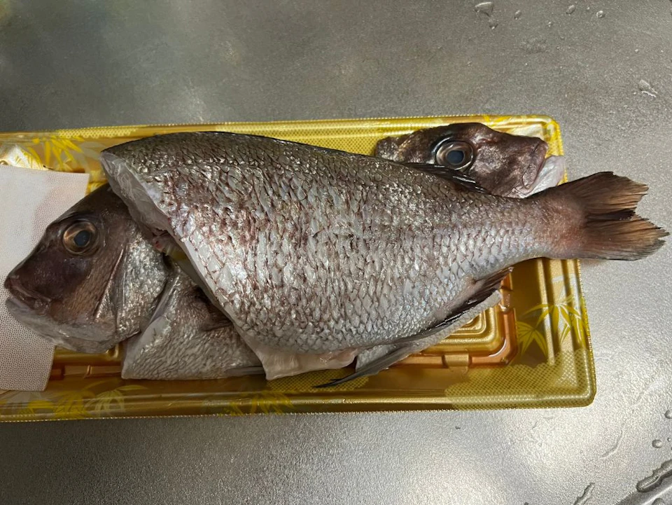 鯛の準備の画像