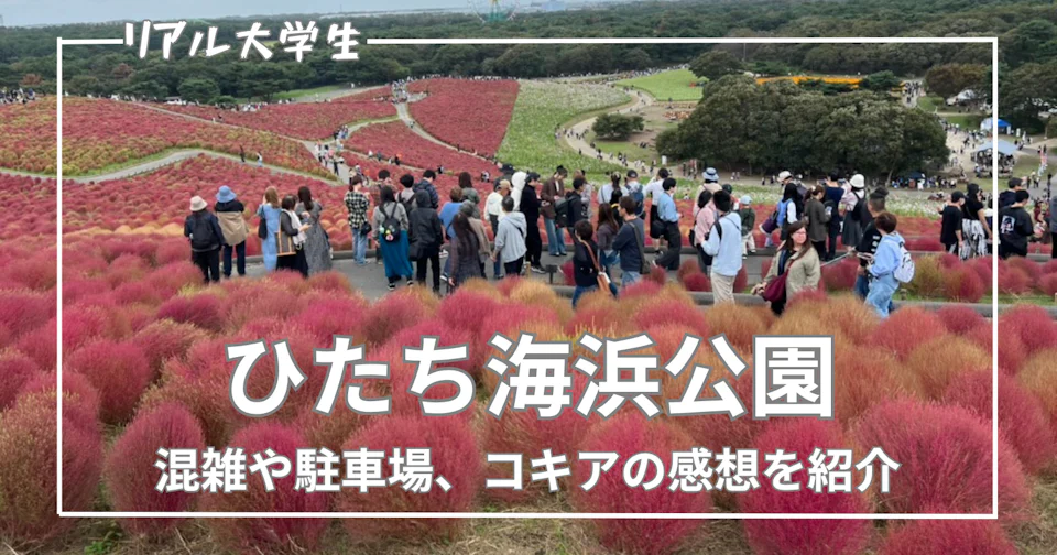 コキアの見頃に行ってきた!混雑や駐車場、みはらしの丘の感想を紹介