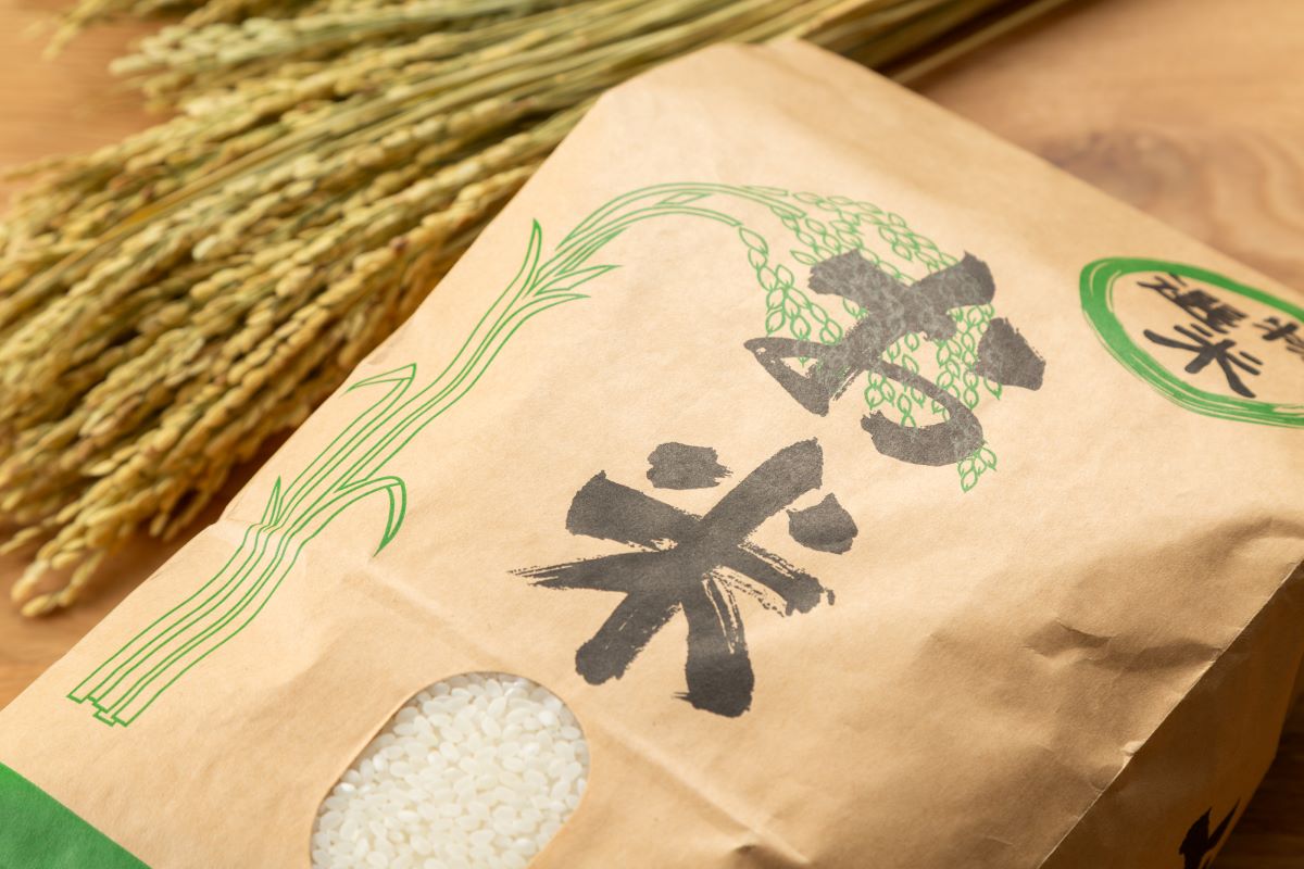 まいちぃー様ご専用　︎2点おまとめ︎ 2点おまとめ ちぃ。様専用 まいちぃー☆様ご専用 ⭐︎2