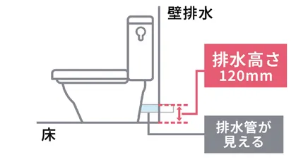 壁排水