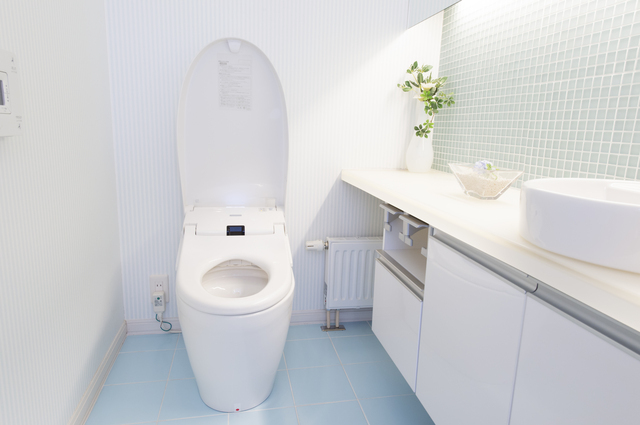 1ヶ月で720Lも節水に!? トイレの「おすすめ節約術」と「NG節約術