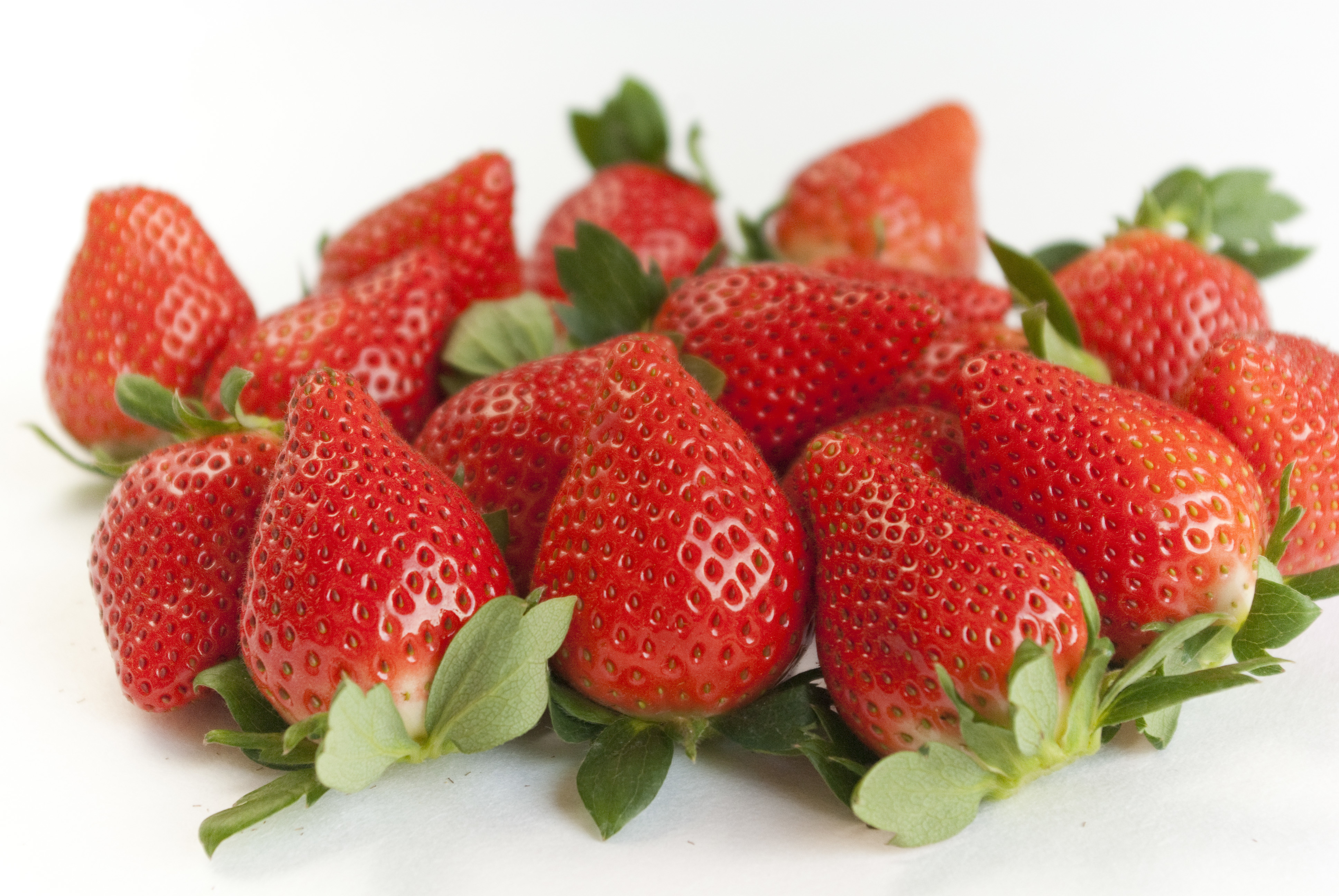 いちごの気になる情報】3月のお姫様「やよいひめ」、どんな品種