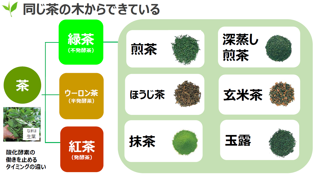 番茶 っ て 何