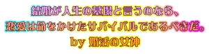 ロマンスコンバット
