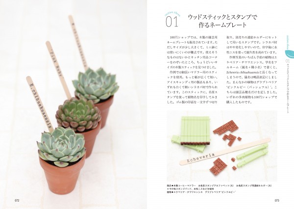 100円ショップで楽しむ多肉植物 | 新紀元社