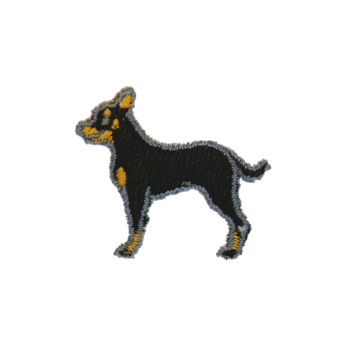 横向き/テリアBKCAM