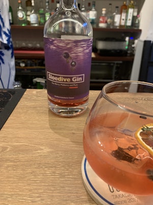Sloedive Gin