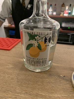 河内晩柑シトラスジン