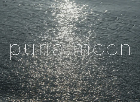 puna.moon