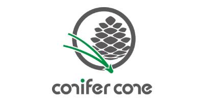 conifer cone