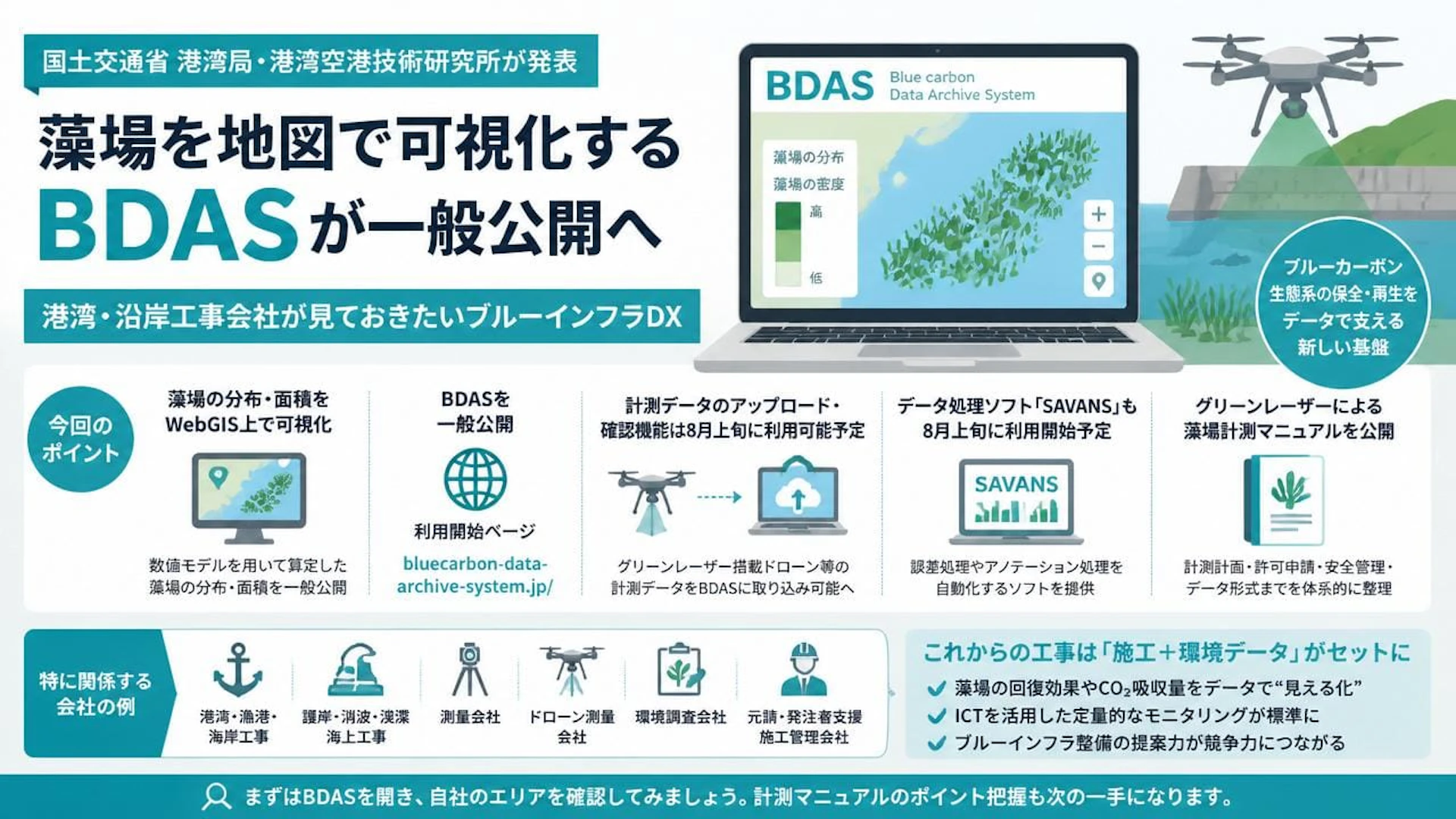 藻場を地図で可視化するBDASが一般公開へ──港湾・沿岸工事会社が見ておきたいブルーインフラDX