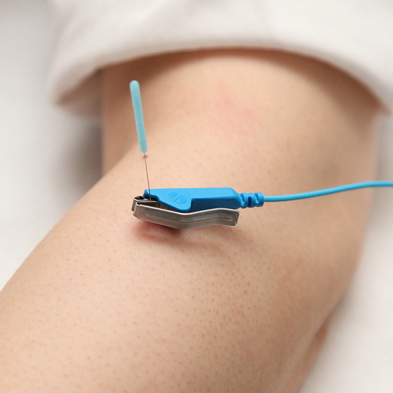 Picorina｜セイリン株式会社