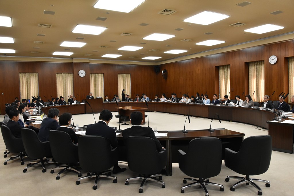 デジタル社会と憲法の人権保障～参議院憲法審査会～