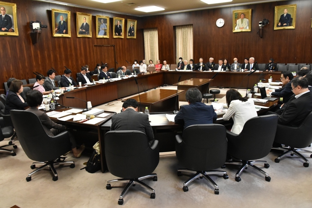 出入国管理法および技能実習法改正案に関して参考人質疑～参議院法務委員会～