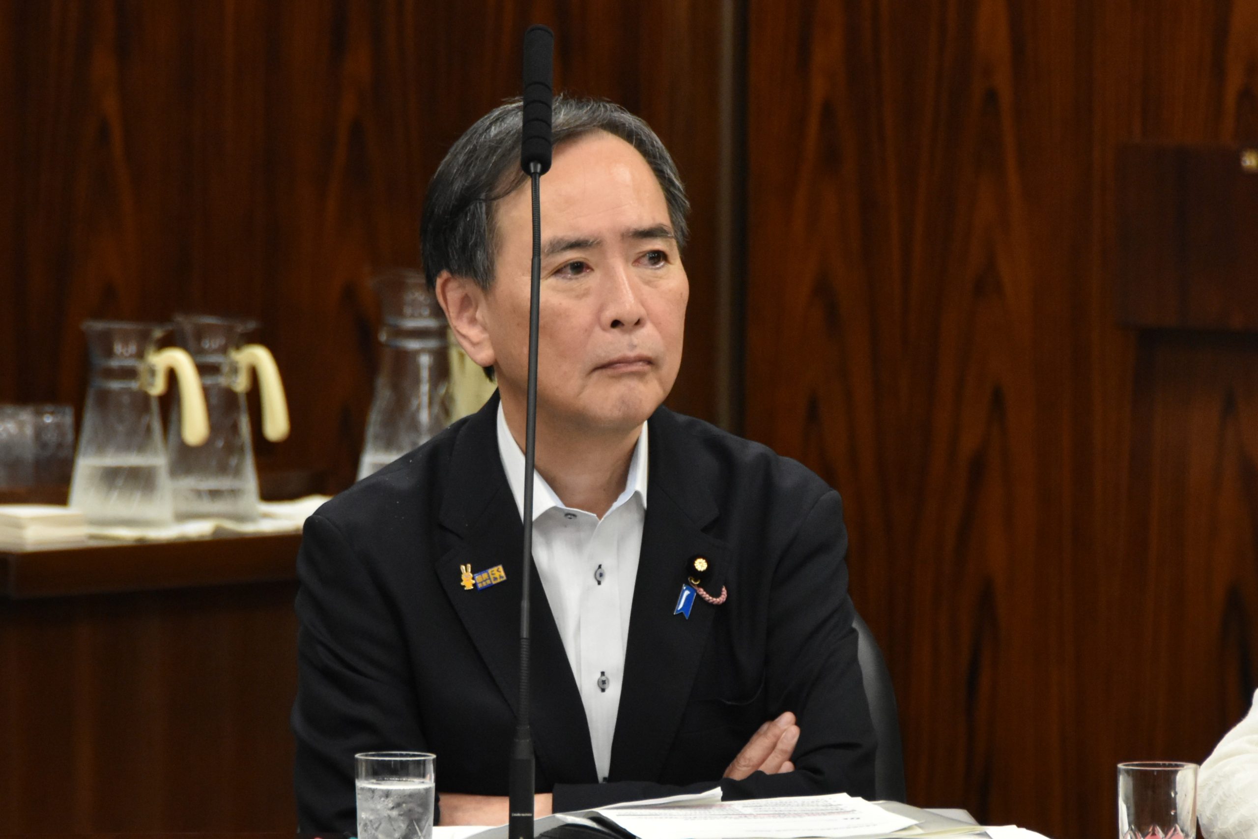 譲渡担保法制の整備に質疑～参議院法務委員会～