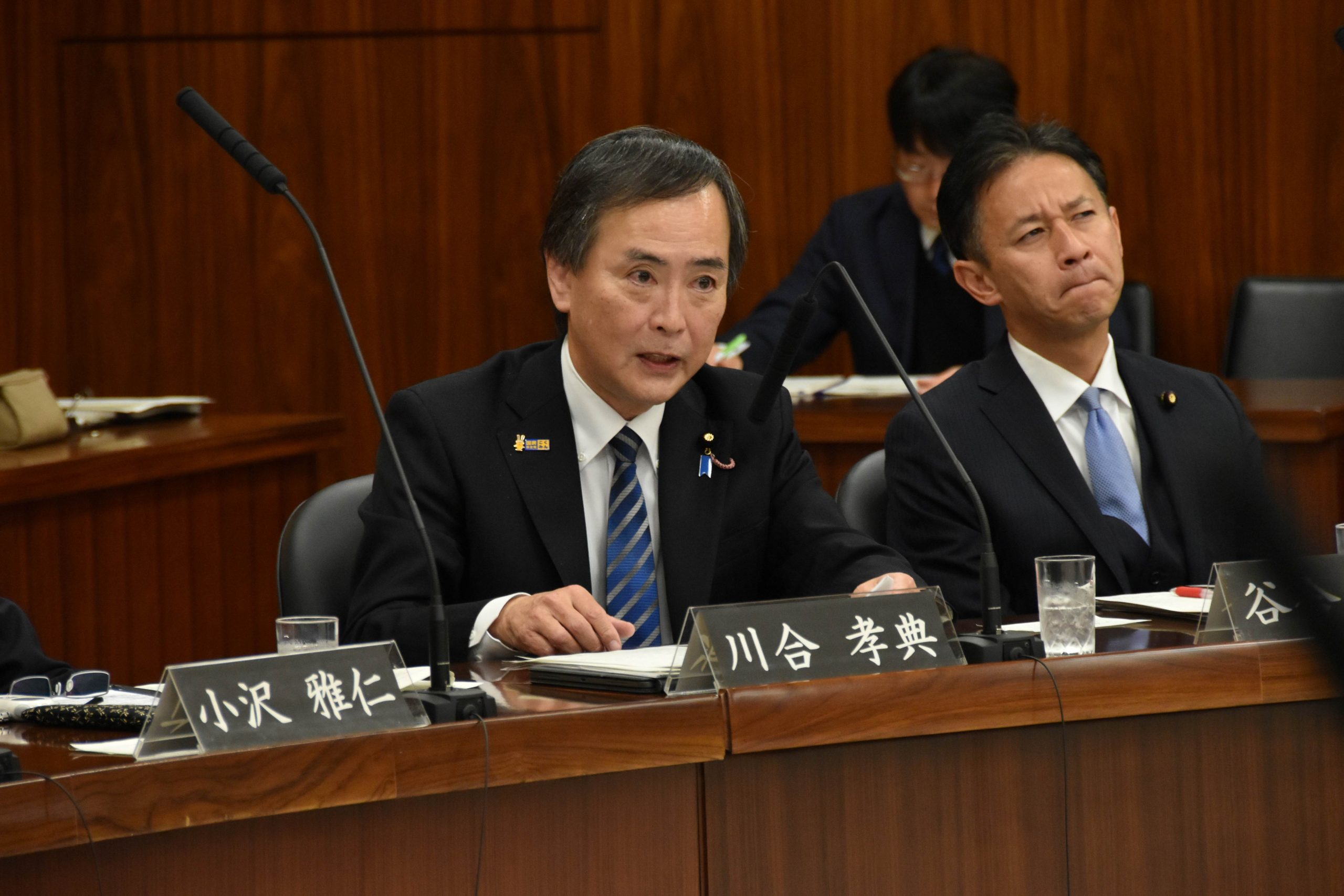 国民民主党の現行憲法に対する課題認識を示す ～参議院憲法審査会～