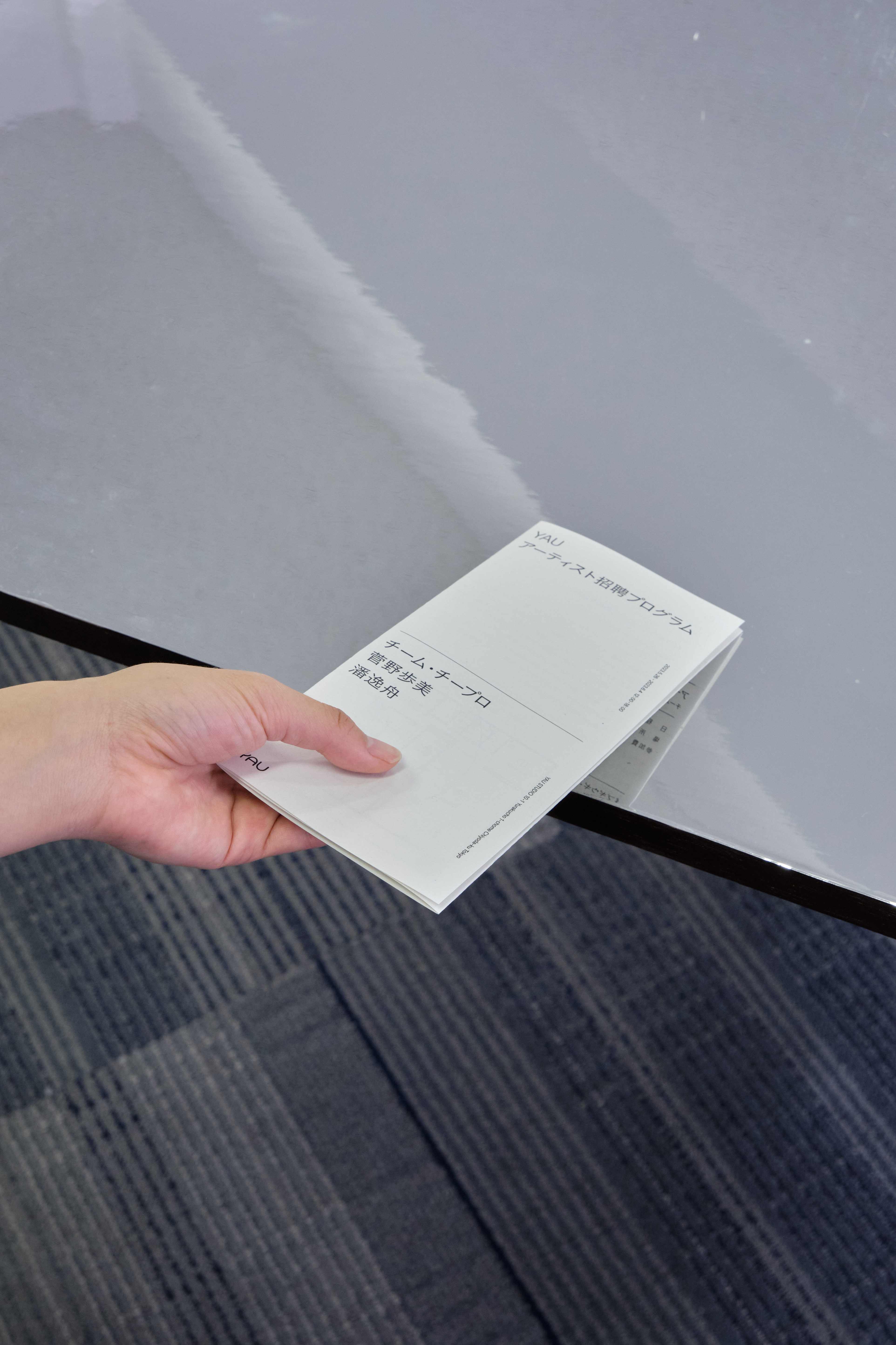 Figure 5 for Handout / YAU Exhibition