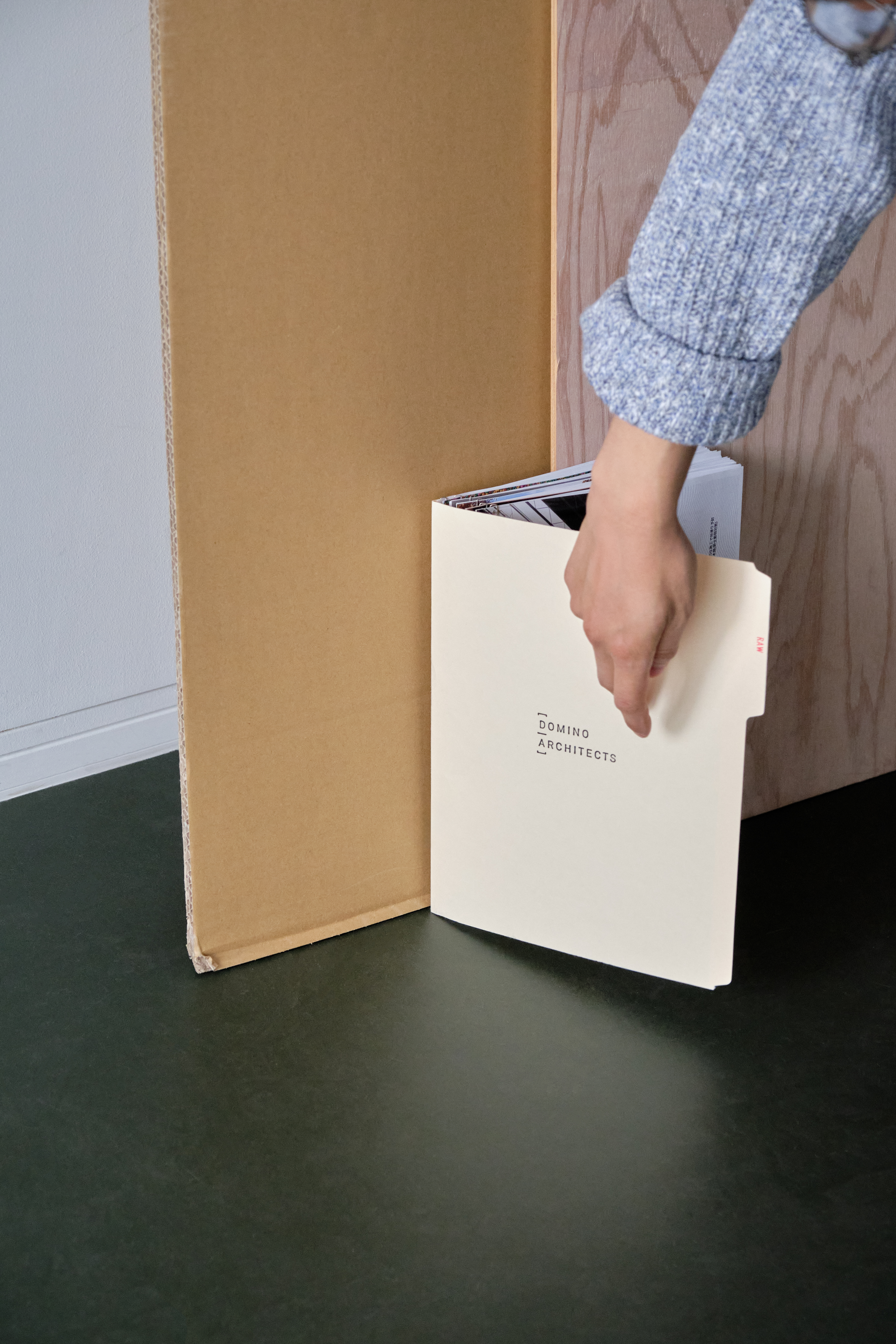 Figure 3 for RAW - DOMINO ARCHITECTS