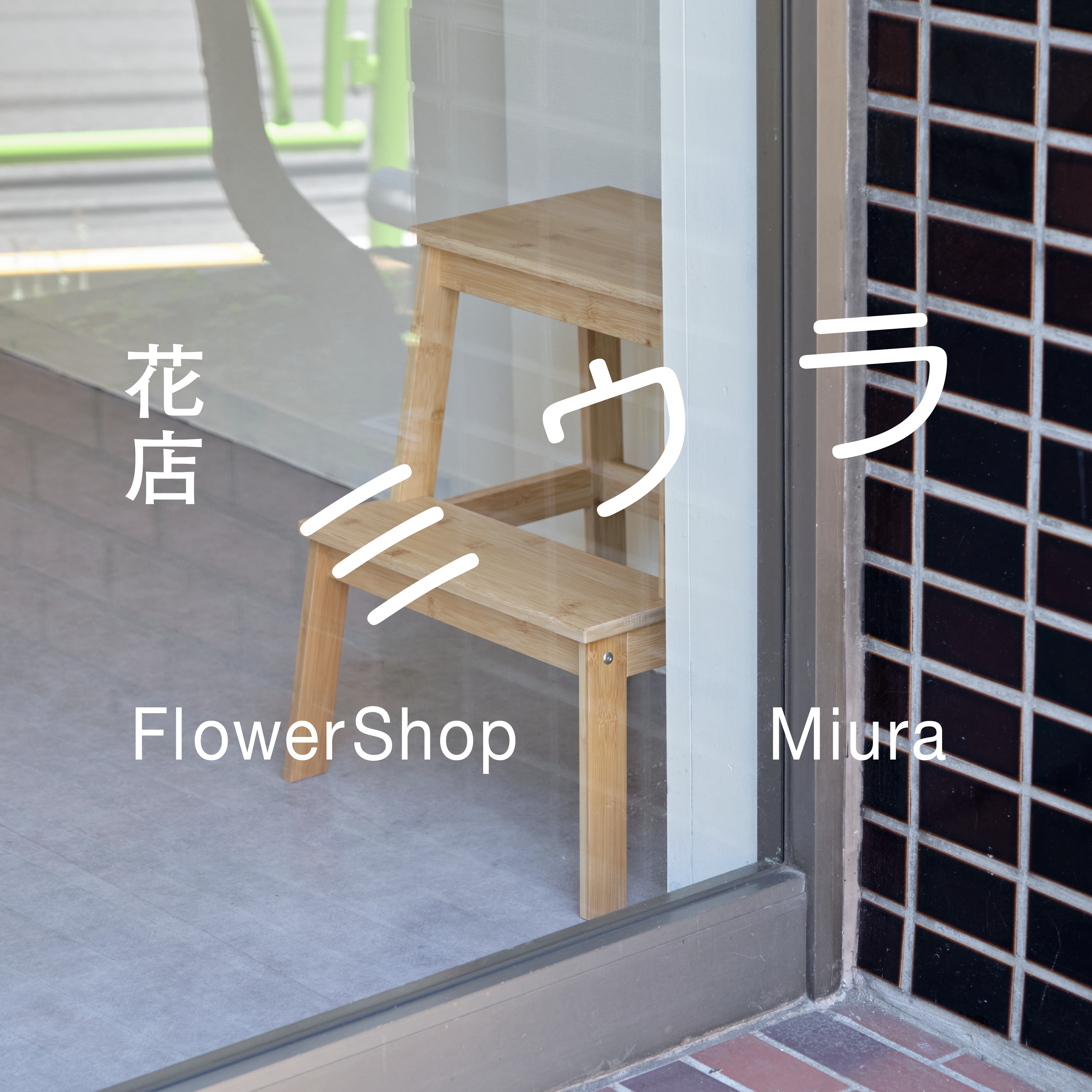 Figure 1 for FlowerShop Miura