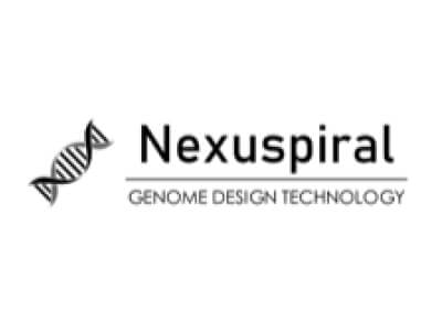Nexuspiral ロゴ