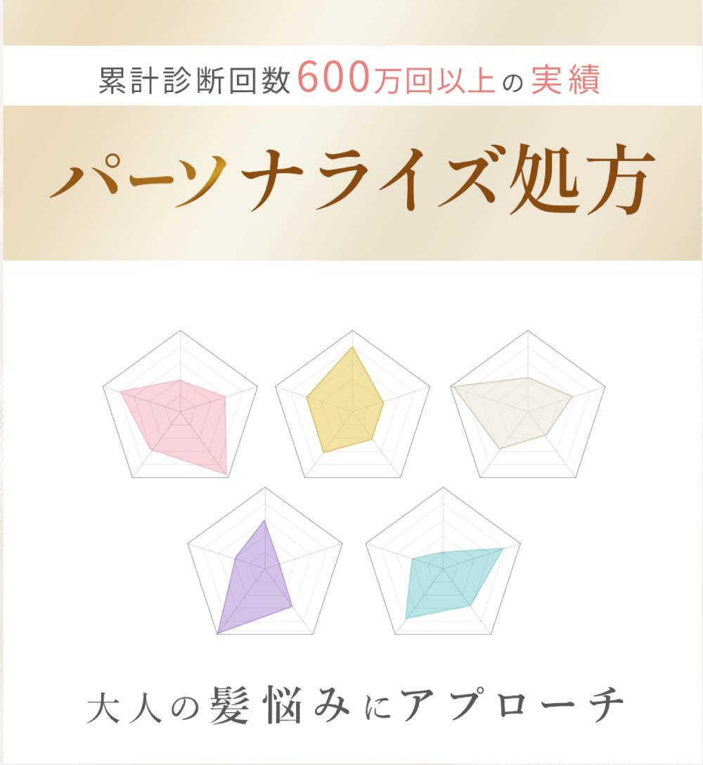 累計診断回数600万回以上の実績パーソナライズ処方 大人の髪悩みにアプローチ