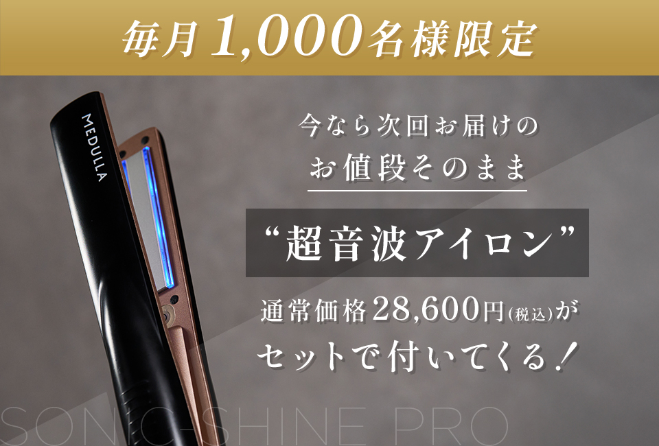 今なら次回お届けのお値段そのまま超音波アイロン通常価格28,600円（税込）がセットで付いてくる！