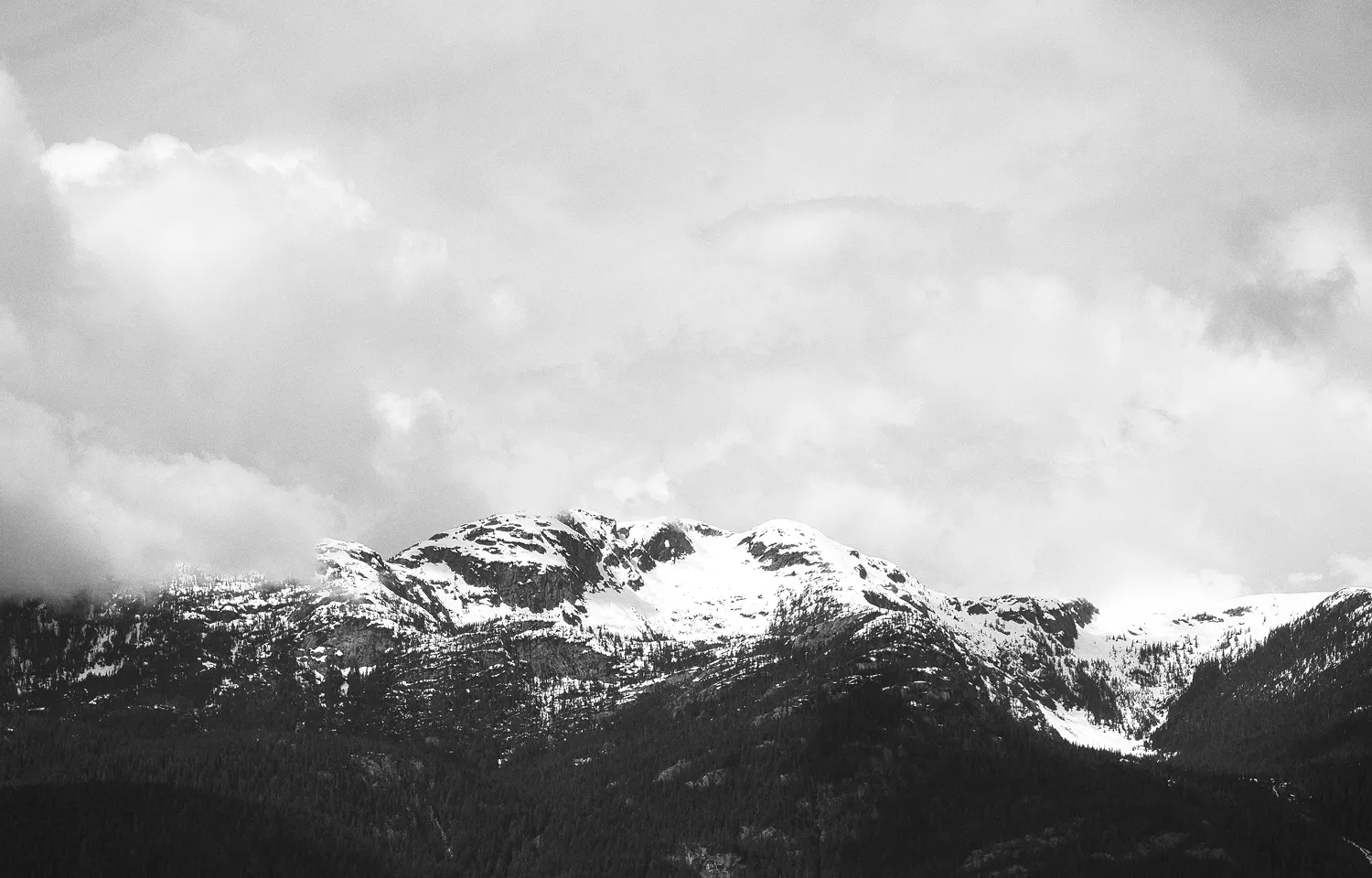 成功事例から学ぶサステナブル・ブランディングの実践