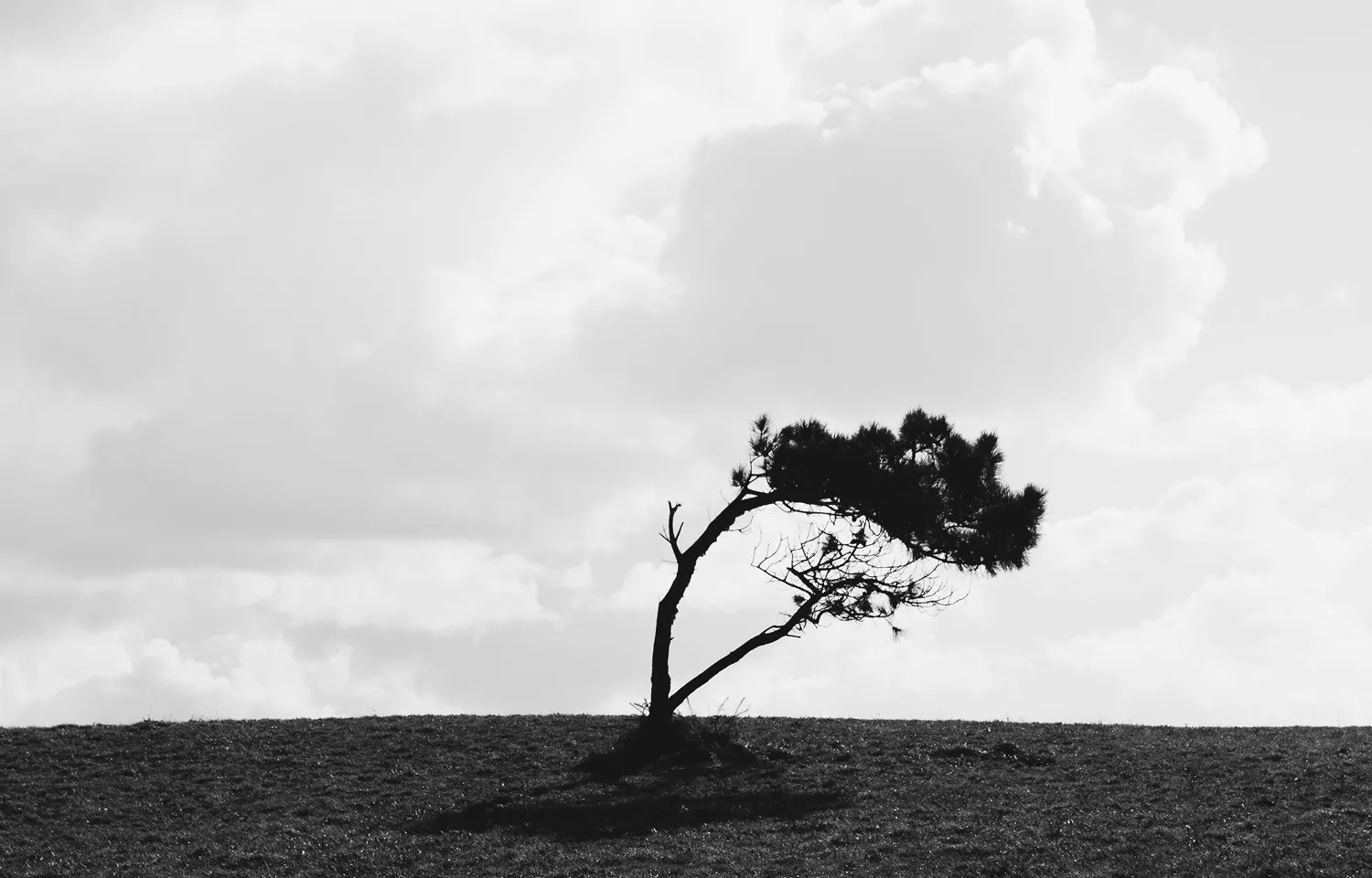 サステナビリティはなぜビジネスに必要なのか？