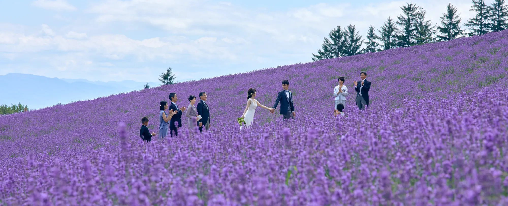 TOMAMU the WEDDINGのイメージ画像