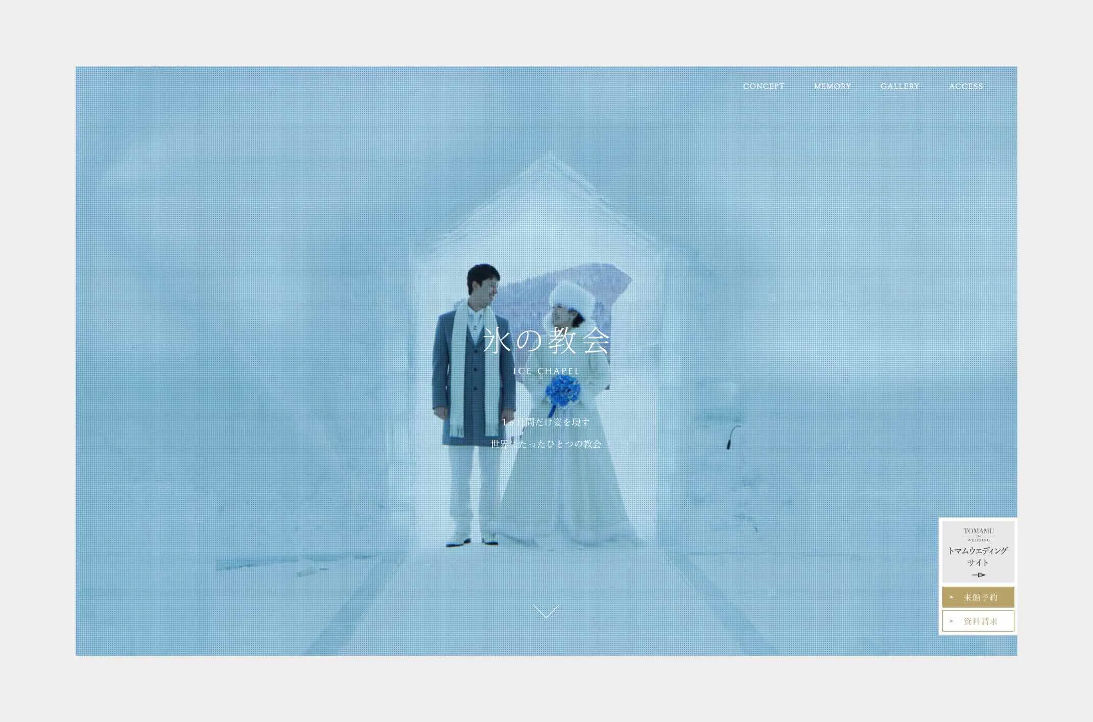 TOMAMU the WEDDINGのイメージ画像