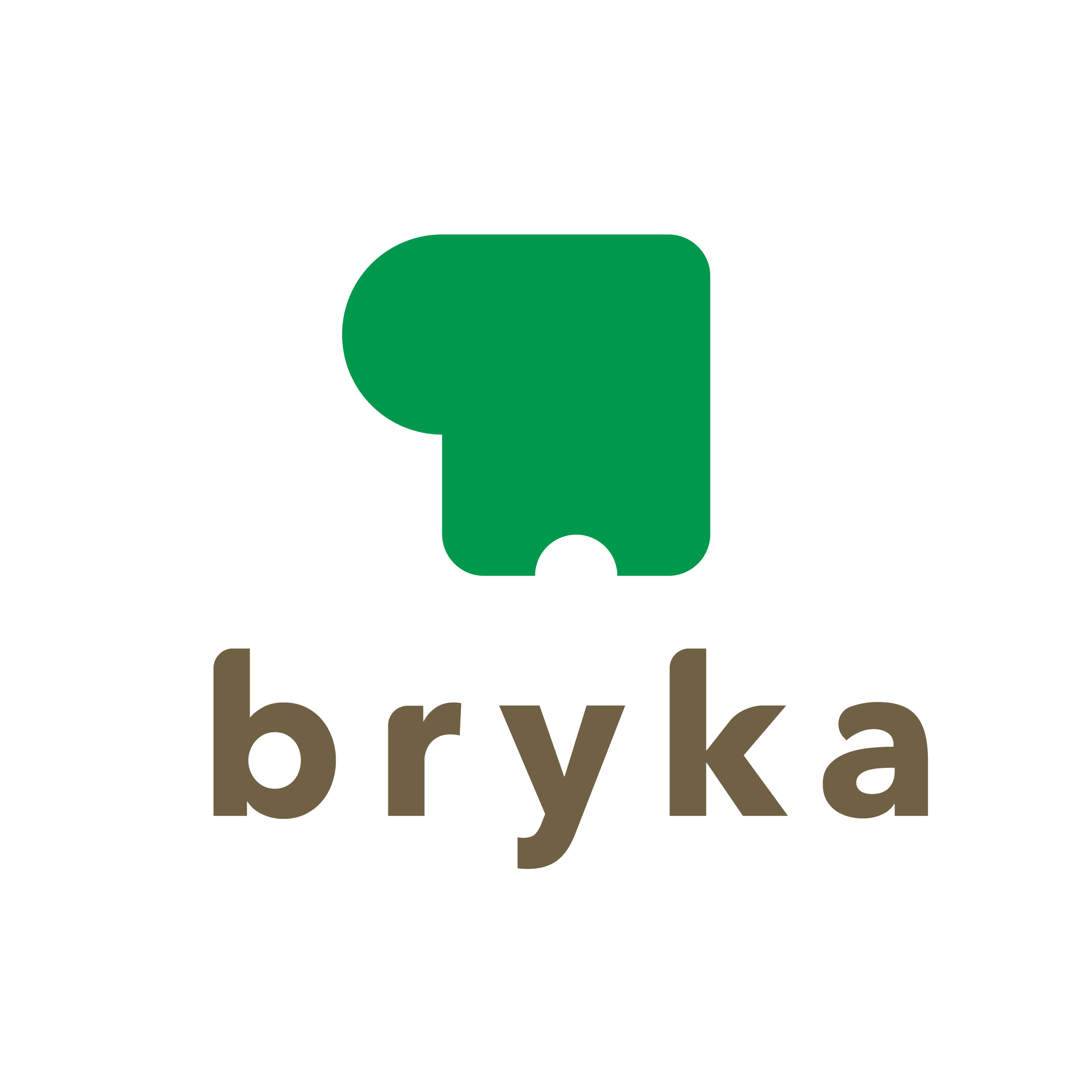 株式会社bryka