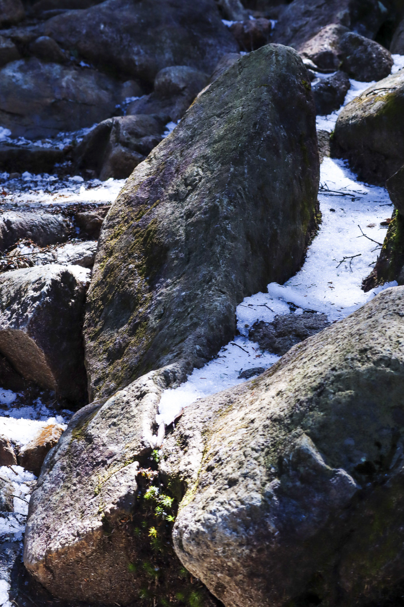 image18