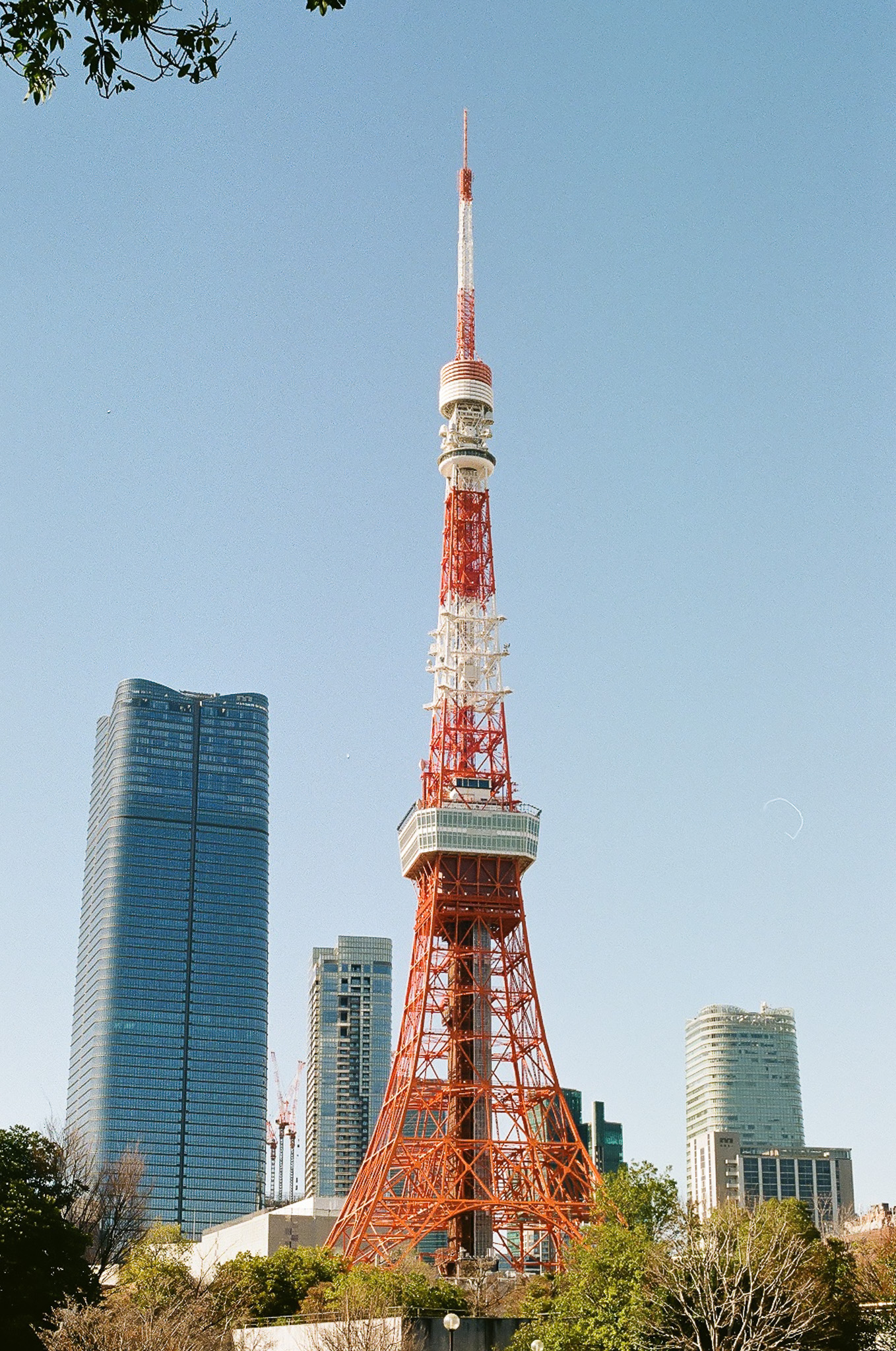 image5