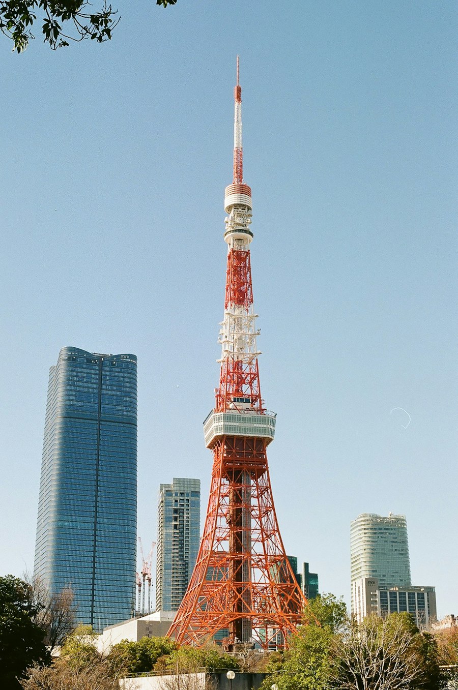 image5
