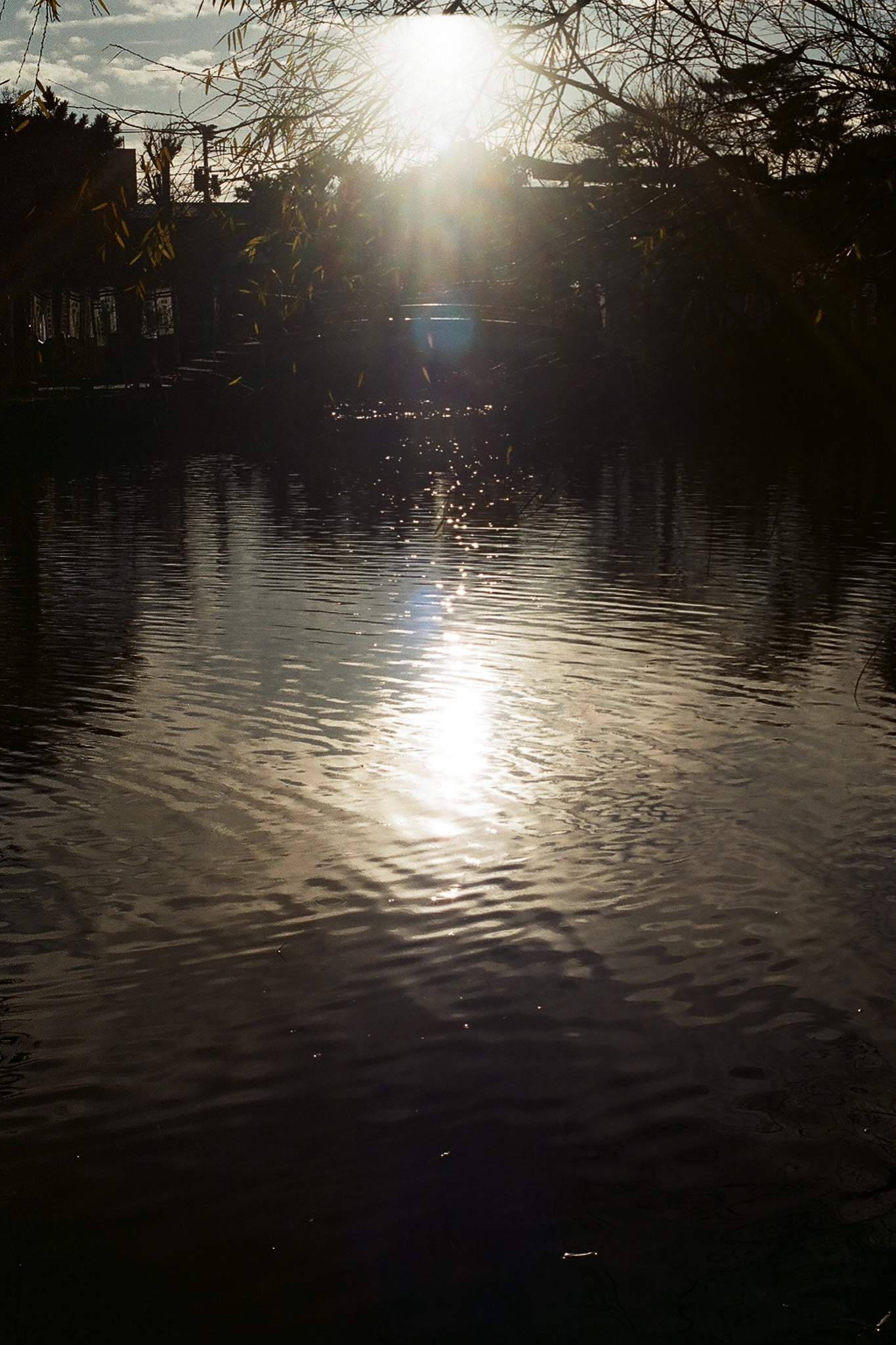 image9
